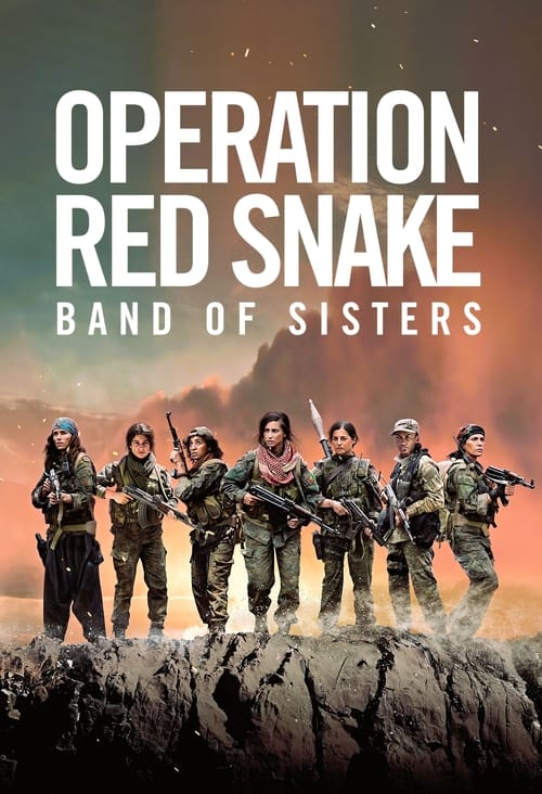 Sœurs d'armes (Sisters in Arms)