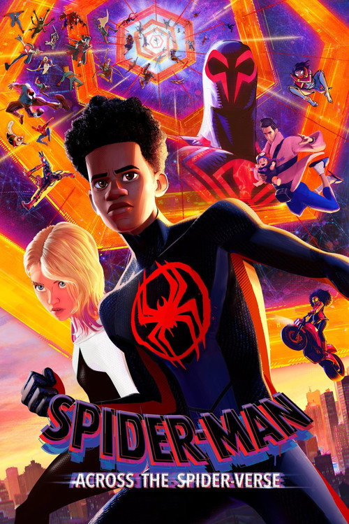 مرد عنکبوتی: در میان دنیای عنکبوتی (Spider-Man: Across the Spider-Verse)