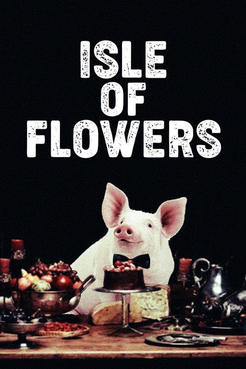 Ilha das Flores (Isle of Flowers)