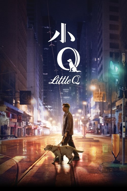小Q (Little Q)