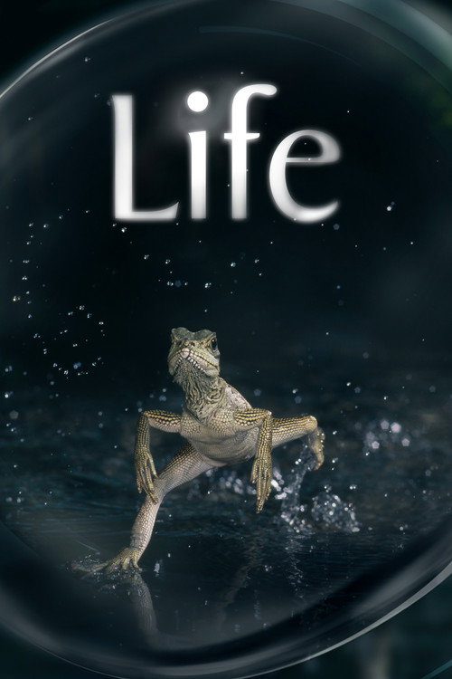 حیات (Life)