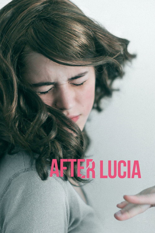 Después de Lucía (After Lucia)