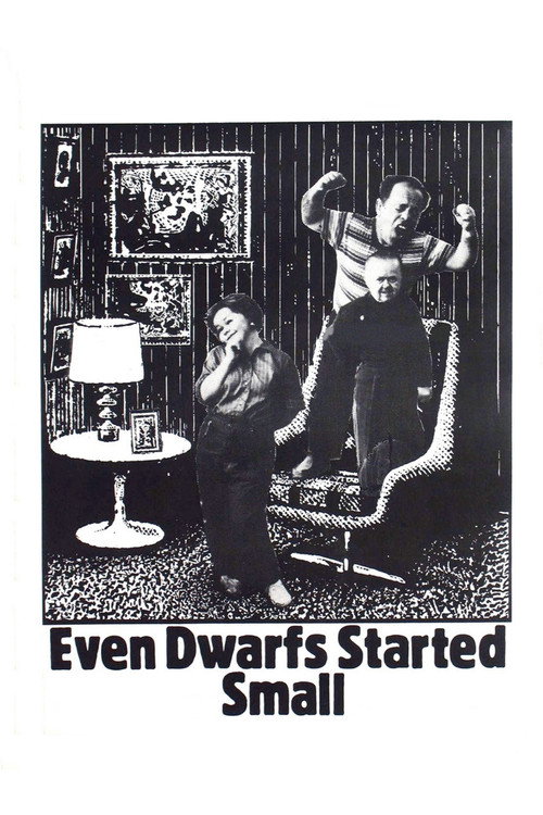 Auch Zwerge haben klein angefangen (Even Dwarfs Started Small)
