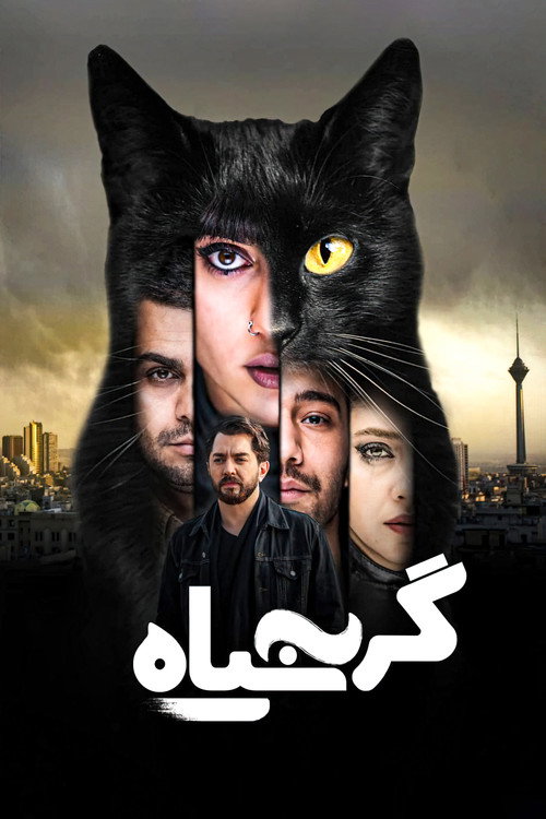 گربه سیاه (The Black Cat)