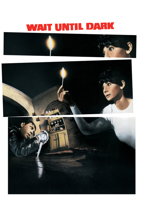 تا تاریکی صبر کن (Wait Until Dark)