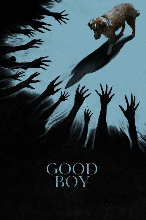پسر خوب (Good Boy)