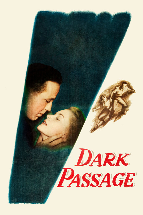 گذرگاه تاریک (Dark Passage)