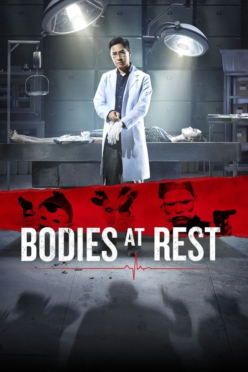 沉默的證人 (Bodies at Rest)