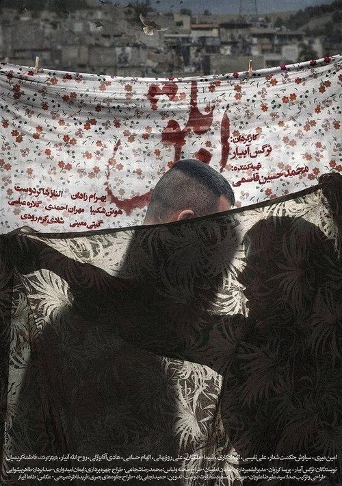 ابلق (Pinto)