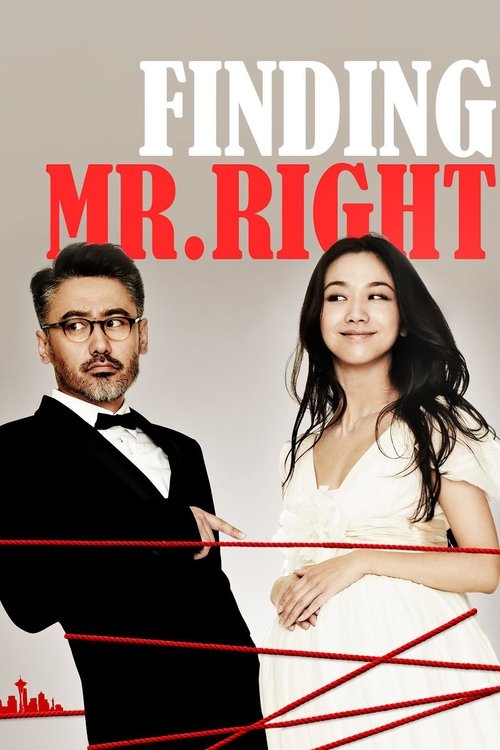 北京遇上西雅图 (Finding Mr. Right)