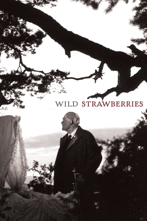 Smultronstället (Wild Strawberries)