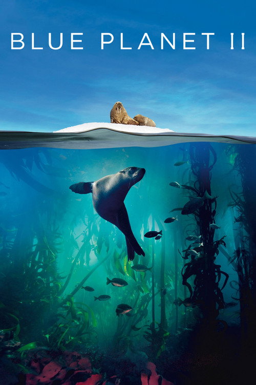سیاره آبی ۲ (Blue Planet II)