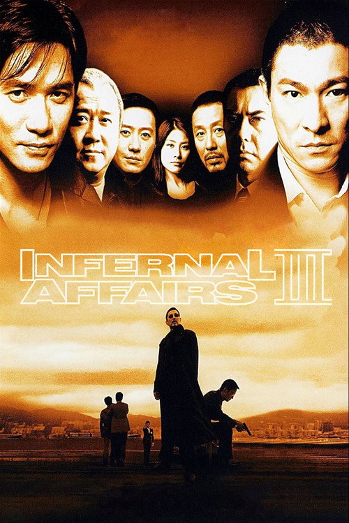 امور دوزخی ۳ (Infernal Affairs III)