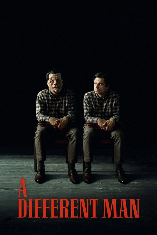 مردی دیگر (A Different Man)