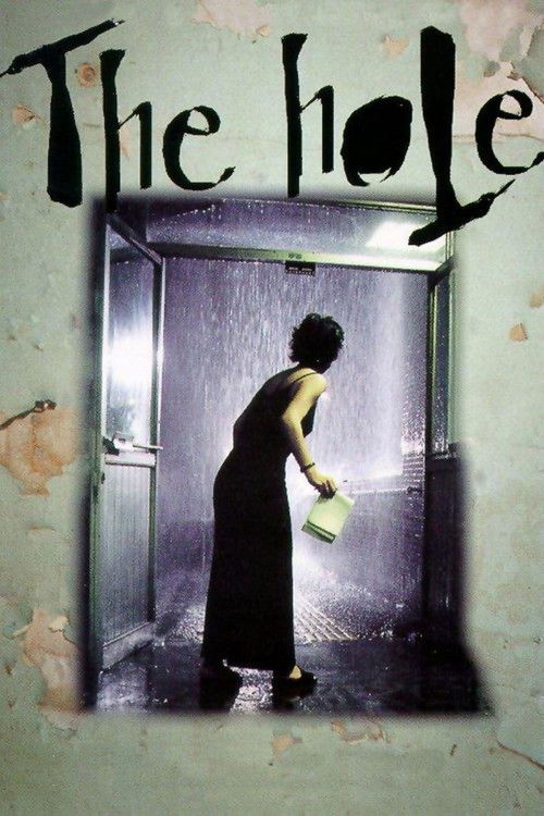 洞 (The Hole)