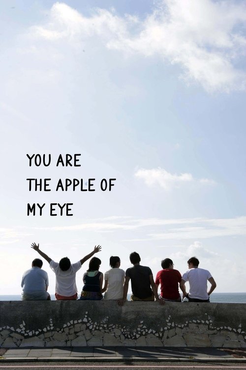 那些年，我們一起追的女孩 (You Are the Apple of My Eye)