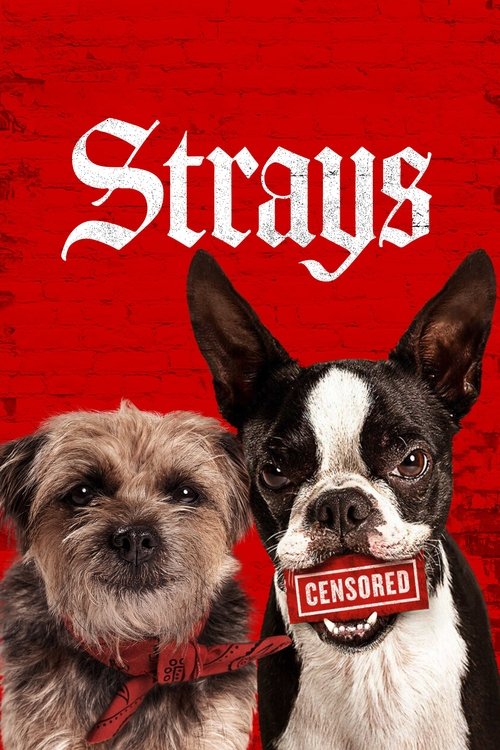 ولگردها (Strays)
