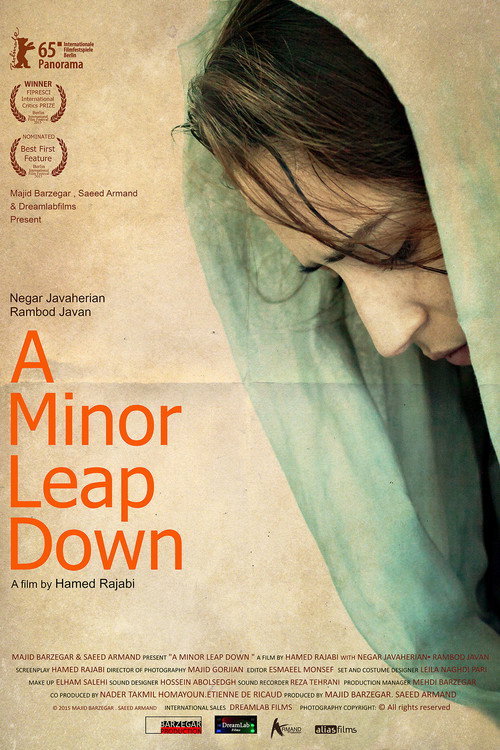 پریدن از ارتفاع کم (A Minor Leap Down)