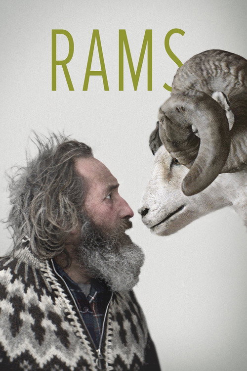 Hrútar (Rams)