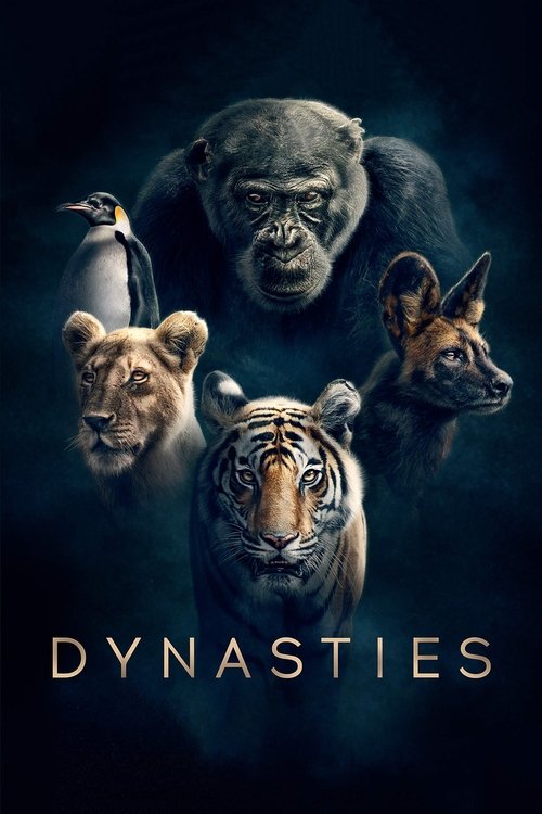 سلسله ها (Dynasties)