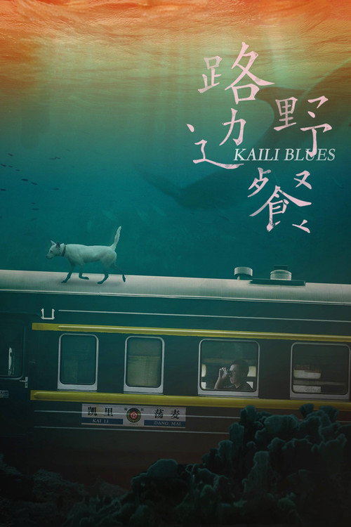 路边野餐 (Kaili Blues)