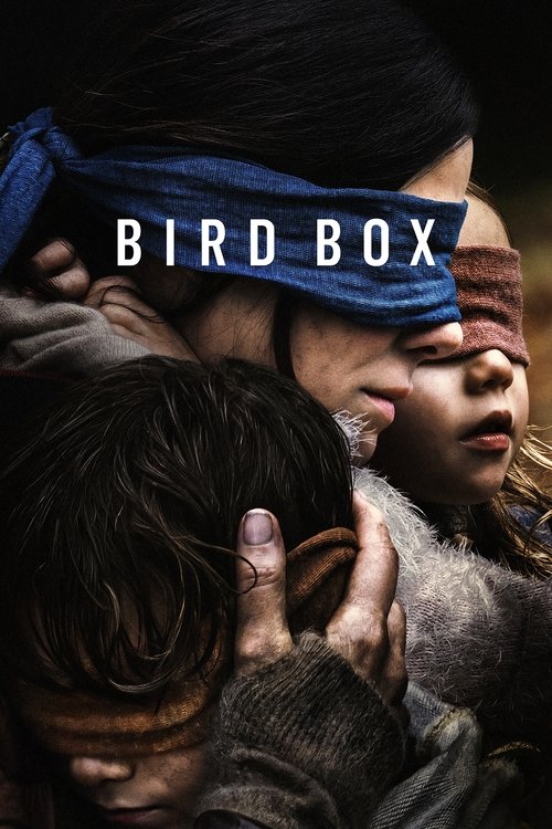 جعبه پرنده (Bird Box)