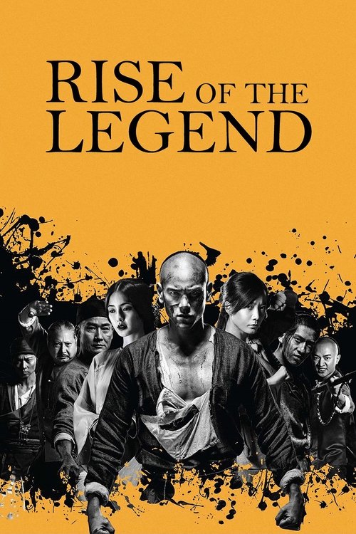 黄飞鸿之英雄有梦 (Rise of the Legend)