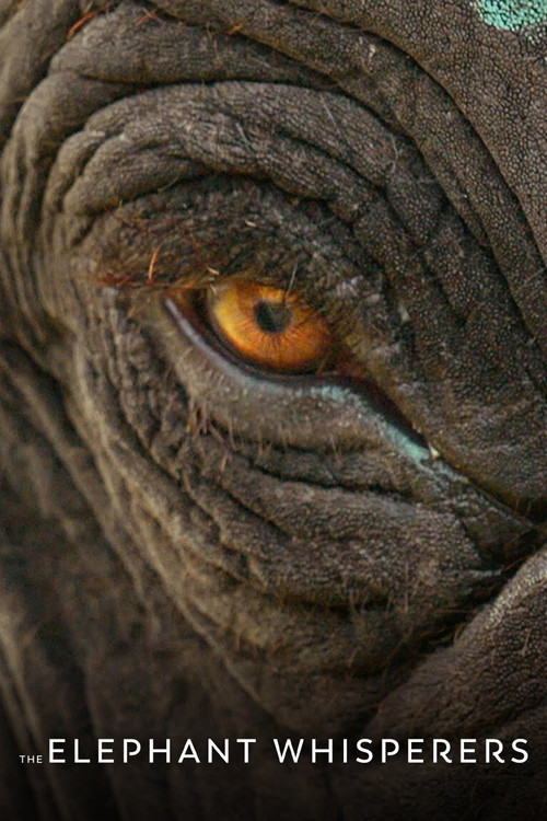 தி எலிபெண்ட் விசுபெரர்சு (The Elephant Whisperers)