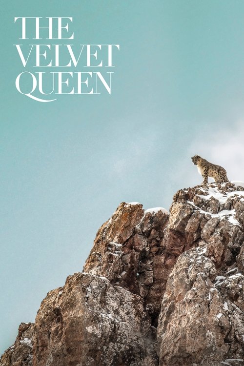 La Panthère des neiges (The Velvet Queen)