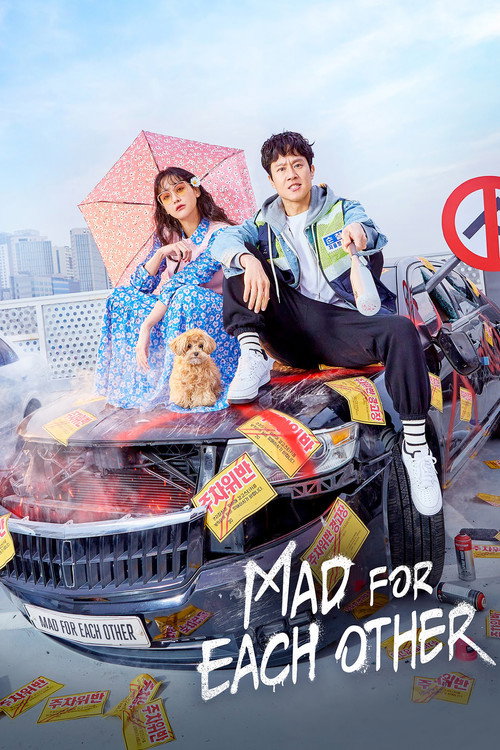 이 구역의 미친 X (Mad for Each Other)