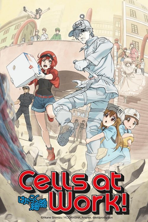 はたらく細胞 (Cells at Work!)