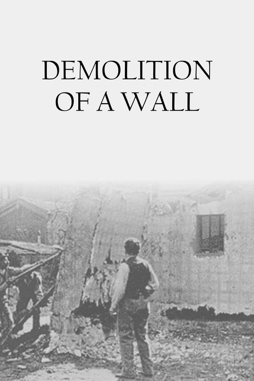 Démolition d'un mur (Demolition of a Wall)