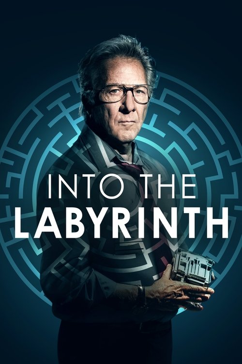 L'uomo del labirinto (Into the Labyrinth)