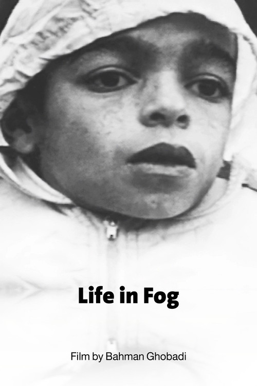 زندگی در مه (Life in Fog)