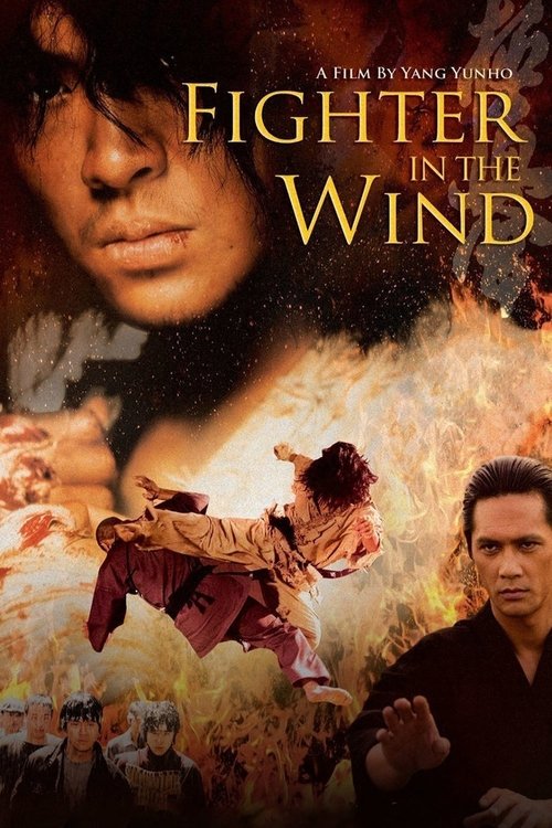 바람의 파이터 (Fighter in the Wind)