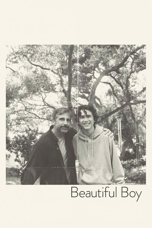 پسر زیبا (Beautiful Boy)