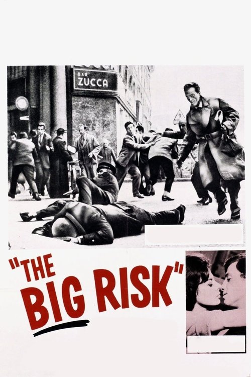 همه خطرها را طبقه بندی کن (The Big Risk)