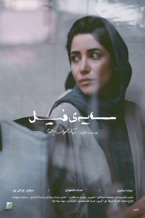 سایه‌ی فیل (Elephant's Shadow)