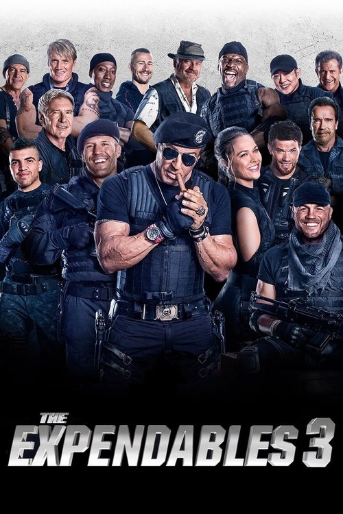 بی مصرف‌ها ۳ (The Expendables 3)