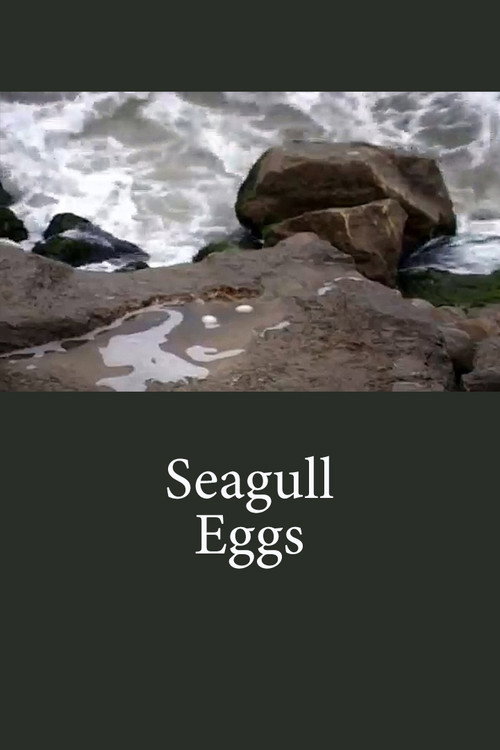 تخم مرغ‌های دریایی (Seagull Eggs)