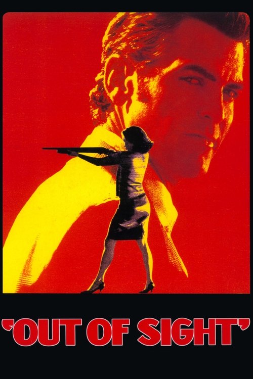خارج از دید (Out of Sight)