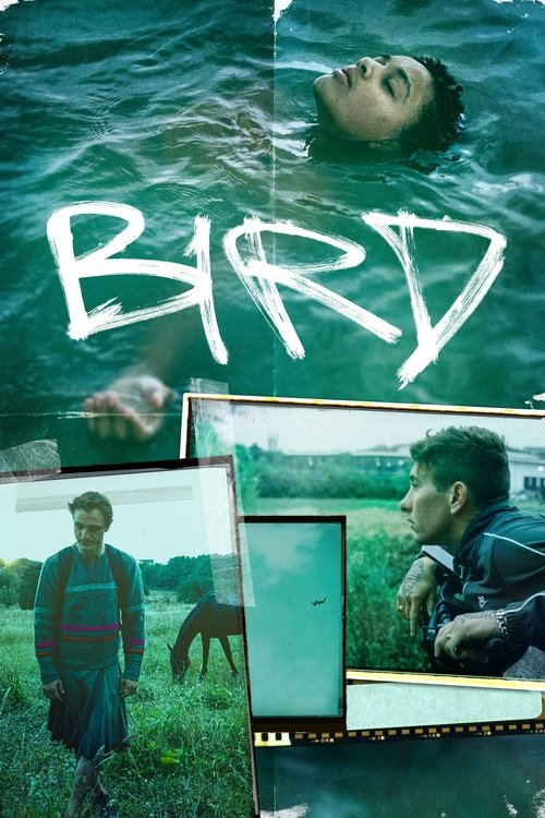 پرنده (Bird)
