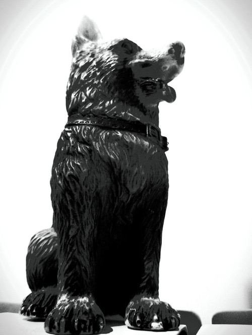 سگ کوچه سرندی (The Dog of Sarandi Alley)