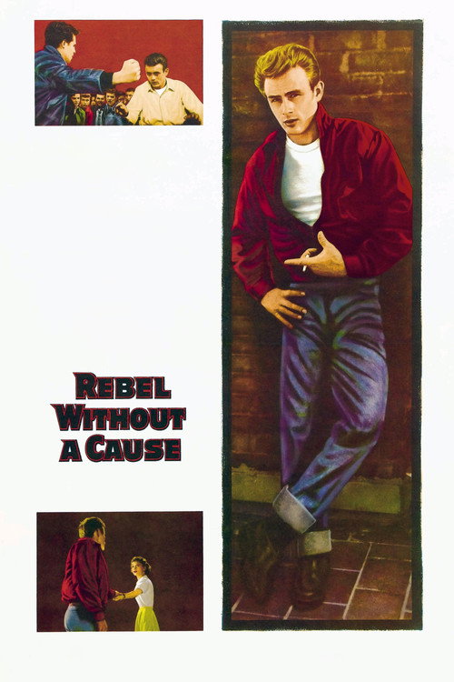 شورش بی‌ دلیل (Rebel Without a Cause)