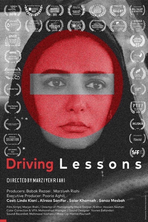 کلاس رانندگی (Driving Lessons)